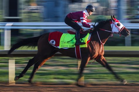 kentucky derby morning odds|Forever Young seeks Japan's 1st Kentucky Derby win at .